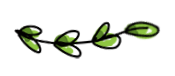 Illustratie van een takje met groene blaadjes